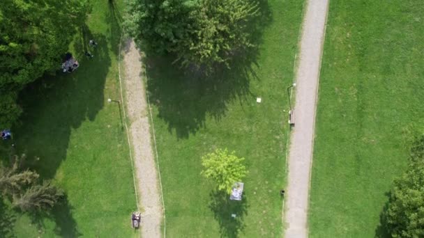 Aerial Botanical Park Botanical Park Covered Green Grass Trees Green — Vídeo de stock