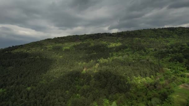 Aerial Lush Mountain Landscape Wide Green Woodland Drone View Beautiful — Stok video