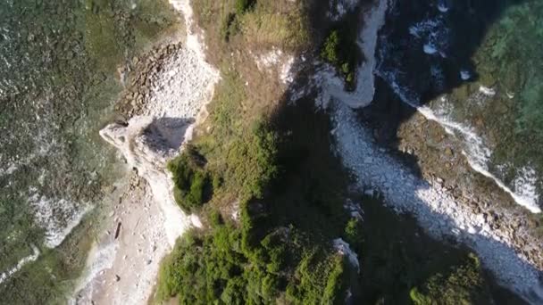 Aerial View Seaside Cliff Cliff Lying Sea Greenery Seaside Turkeys — Video