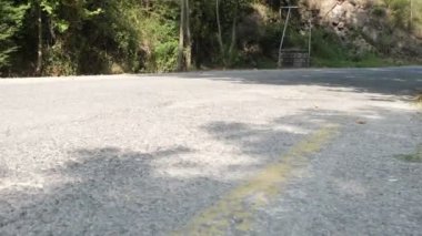 Ağaçlarla kaplı otoban, orman yolu manzarası, yeşillik boyunca otoyol, huzurlu garaj yolları, orman bölgesinde ulaşım.