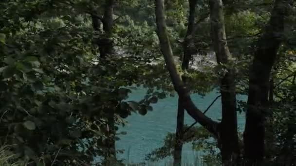 Jezioro Leśne Naturel Obraz Błękitnego Jeziora Tkwiącego Lesie Unikalne Piękno — Wideo stockowe
