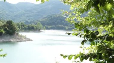 Göl manzaralı adam, ormandaki doğal güzelliklere bakan adam, manzaraya karşı duran genç adam, orman gölü manzaralı gezgin.