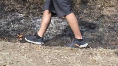 Orman yangını alanında yürümek, doğayı yok etmek, iklim krizi teması