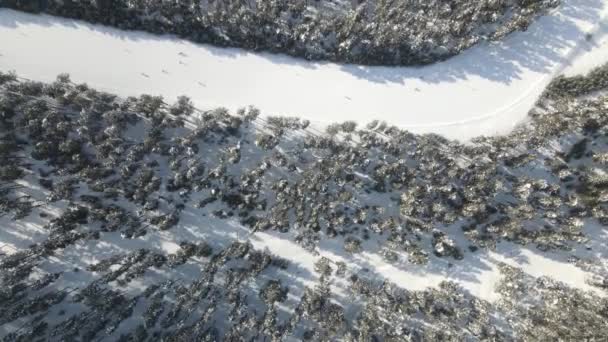 Drone Vista Estación Esquí Cubierta Nieve Personas Que Vienen Esquiar — Vídeos de Stock