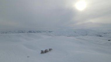 Buzlu havada dağın tepesindeki kar manzaralarının hava aracı görüntüleri, güneş doğarken dağın zirvesinde kar fırtınası, kışı sert koşullarda geçiren yerler.