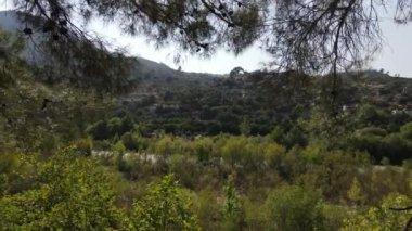 Yeşillik Doğa Güzelliği, yeşil doğadaki su yolu, nehir çevresindeki doğal yaşam alanı, iklim krizi ve yeşil dünya