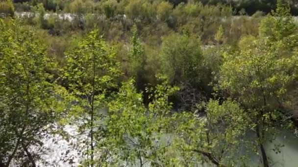 Beroemde Goksu Rivier Delta Rivier Kalkoen Waterweg Groene Natuur Natuurlijke — Stockvideo