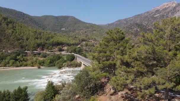 Aerial River Mountain Yeşil Doğadaki Yolu Nehrin Çevresindeki Doğal Yaşam — Stok video