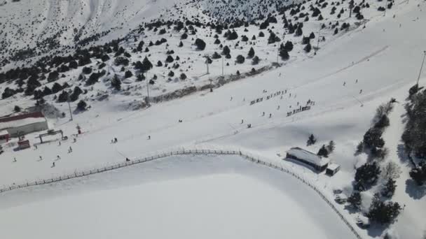 Vista Aérea Drone Pessoas Esquiando Área Esqui Vista Drone Turistas — Vídeo de Stock
