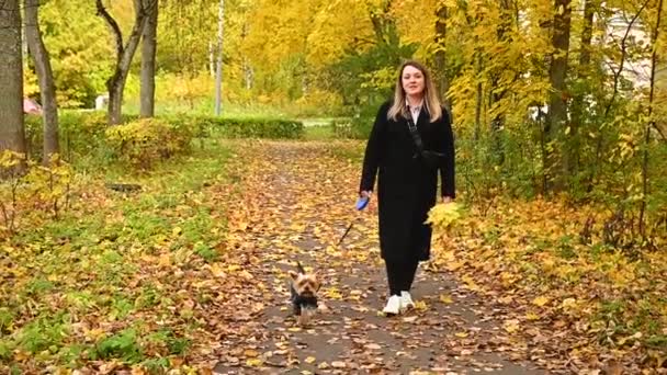 Una hermosa mujer con un abrigo negro y zapatillas blancas pasea por el parque de otoño con un pequeño perro Yorkshire Terrier. Perro en overol de otoño. Cuidado de mascotas. — Vídeo de stock