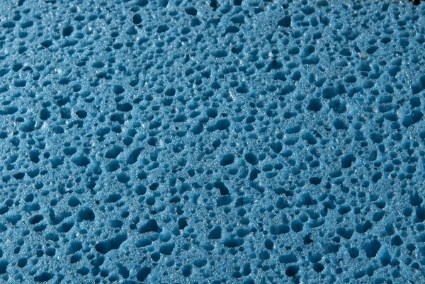 Éponge bleue macro — Photo