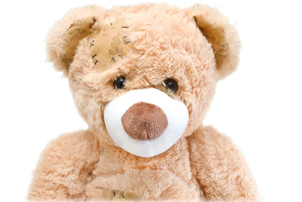 Teddybär — Stockfoto