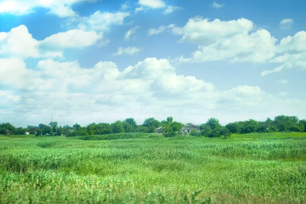 Magische veld met huis — Stockfoto