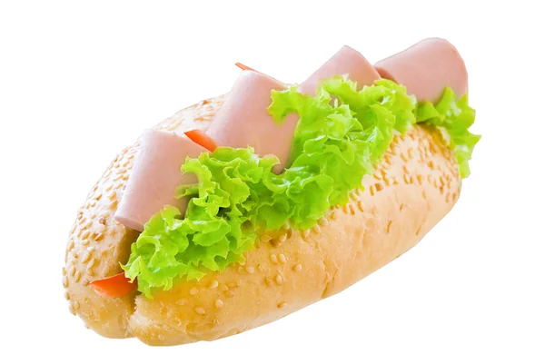 Long sandwich — Stock Photo, Image