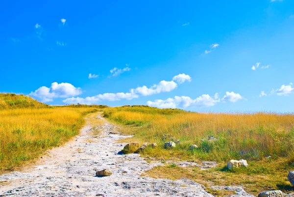 Stone road to the top — Stock Photo, Image
