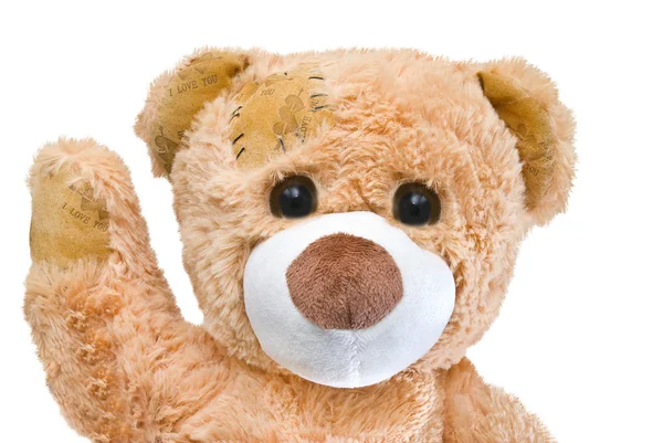 Guter freundlicher Teddybär — Stockfoto