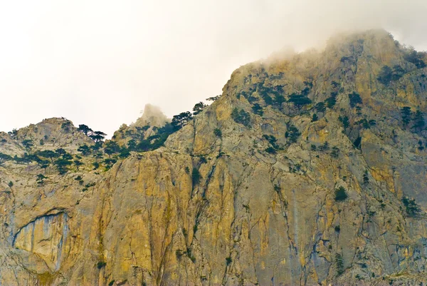 Kultainen vuori — kuvapankkivalokuva