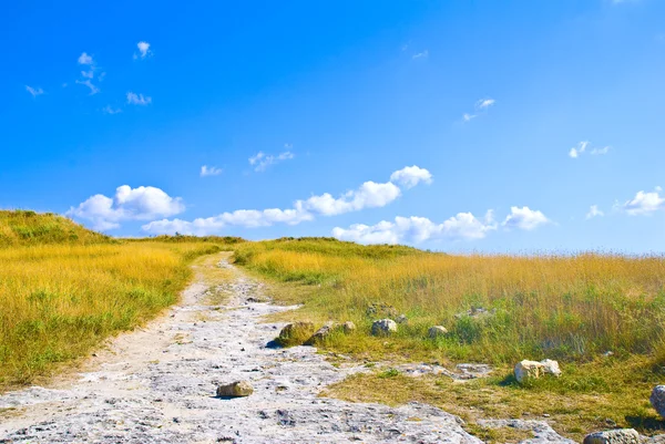 Stone road to the top — Stock Photo, Image
