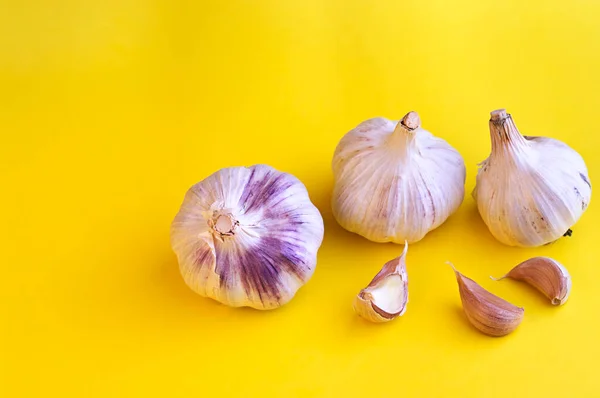 Freshly Harvested Garlic Orchard Spain Ready Taste Allium Sativum — Zdjęcie stockowe