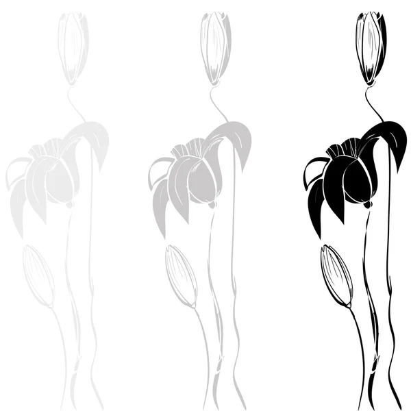 Lilienhintergrund — Stockvektor