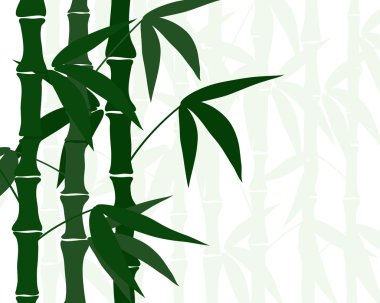 Bambu arka plan yatay