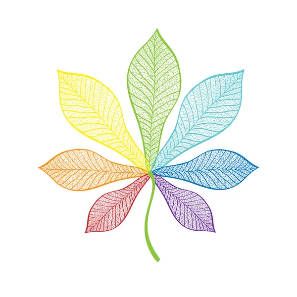 Chestnut leaf rainbow — Stock Vector