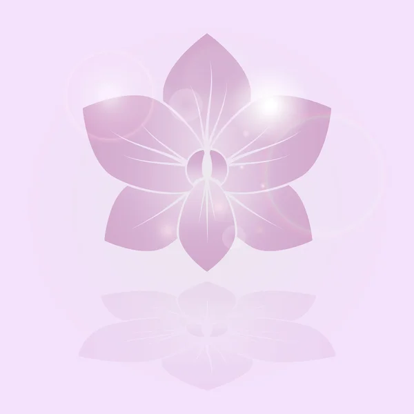 Flor de brillo de orquídea — Vector de stock