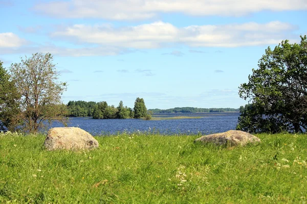 Zwillinge — Stockfoto