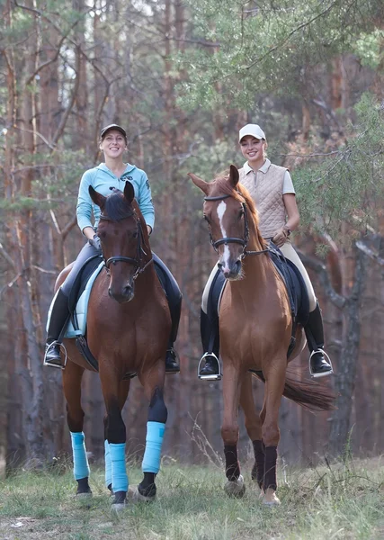 Beautiful smiling girls riding on brown horses through woodland — Stock Photo, Image