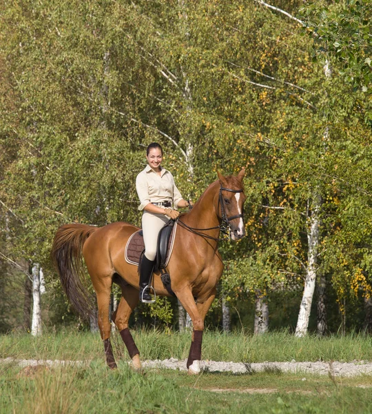Νεαρή γυναίκα ιππασίας ένα άλογο μέσα από δασικές εκτάσεις — Φωτογραφία Αρχείου