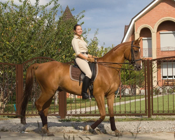 Mulheres sorridentes montando um cavalo marrom no campo . — Fotografia de Stock