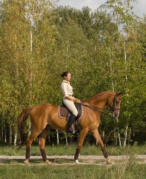 Young woman riding a horse through woodland — Stock Photo, Image