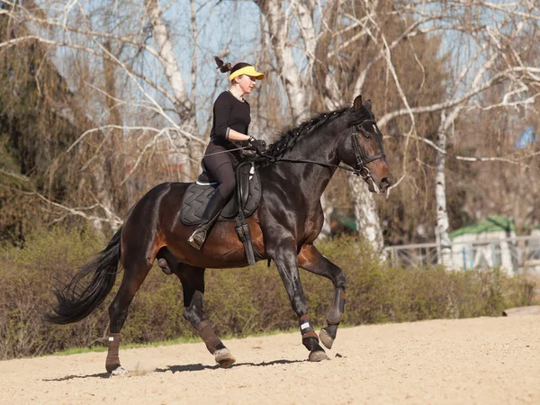 Mujer joven entrena a un caballo — Foto de Stock