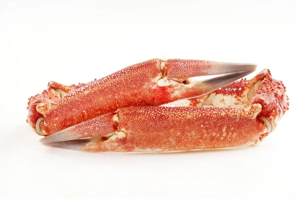 Crab Claws Stock Image