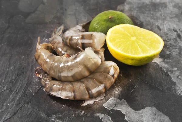 Shrimp Stock Photo