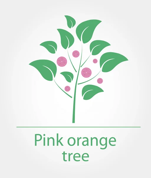 Różowy drzewa pomarańczowego — Wektor stockowy