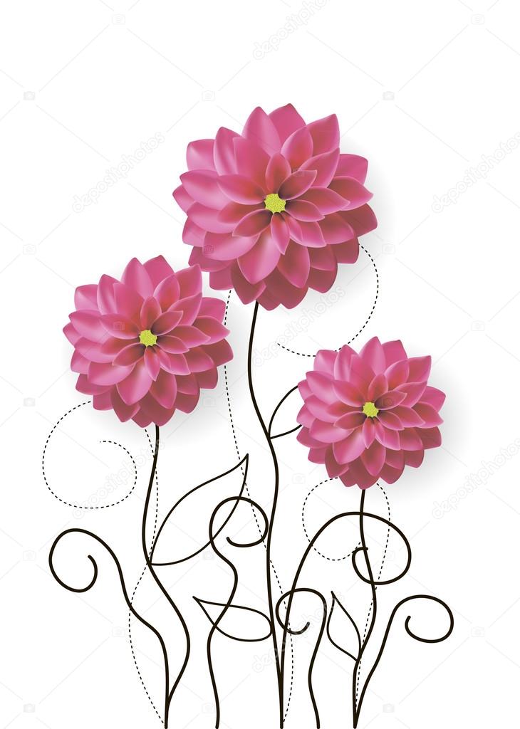 Dahlia flowers drawing