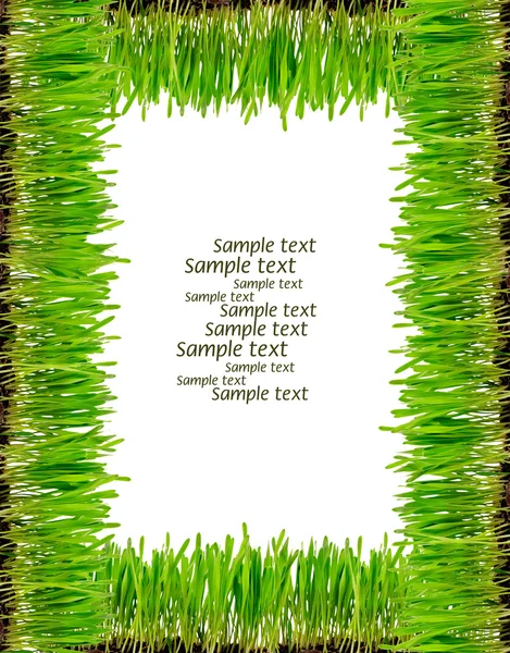 Frame from a green grass — Stock Photo, Image