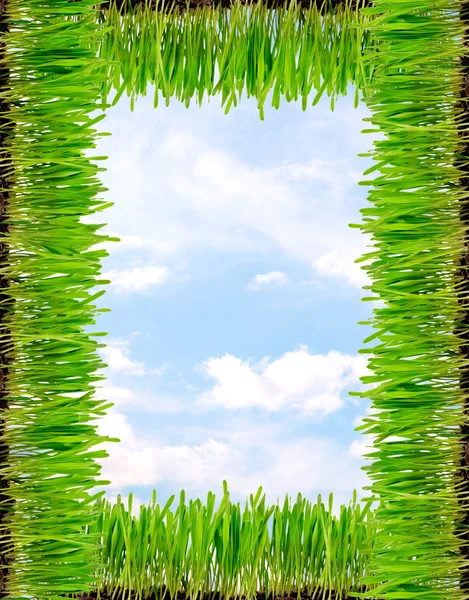 Rahmen aus grünem Gras — Stockfoto