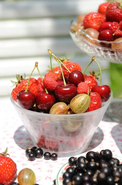 Летние ягоды. — стоковое фото