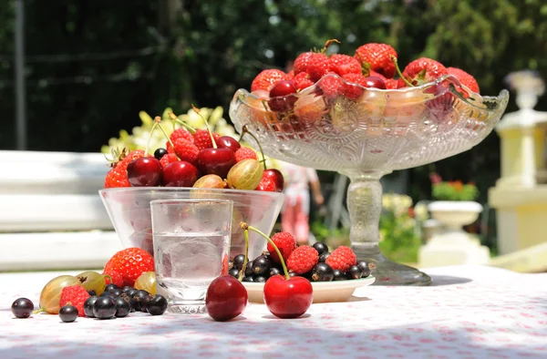 Bär med cocktail. — Stockfoto