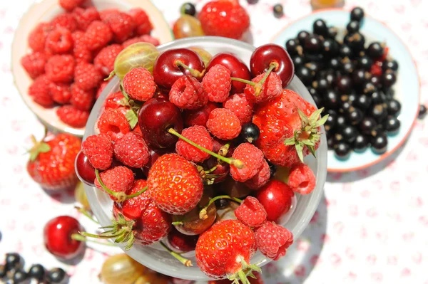 Летние ягоды. — стоковое фото