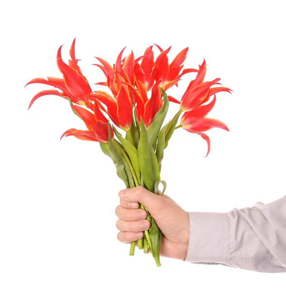 Hand holding flowers — Stock Photo, Image