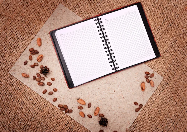 Open notebook with nature elements — Stock Photo, Image