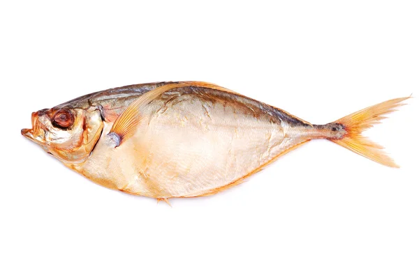 Pesce — Foto Stock