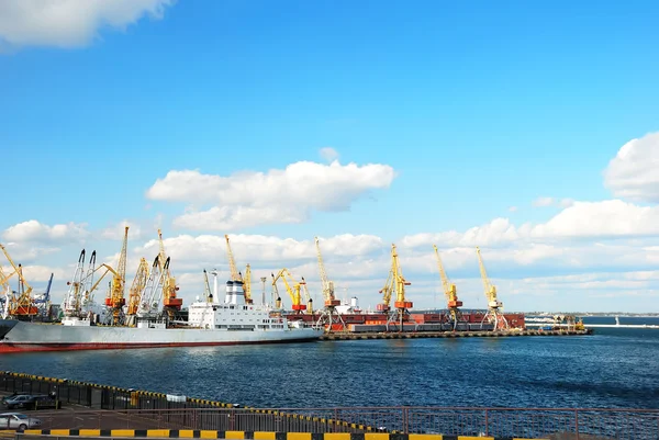 Trading port with cranes — Stock Photo, Image