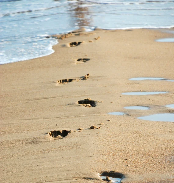 Traces on damp sand — Stock Photo, Image