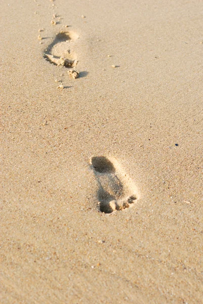Traces on damp sand — Stock Photo, Image