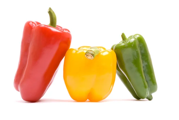 Gekleurde paprika — Stockfoto