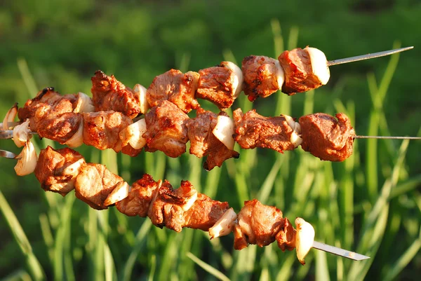 Kebab con cipolla — Foto Stock